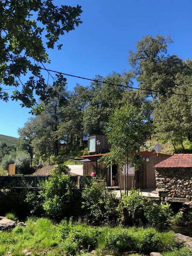 Villa Ninho Da Avo Selvagem à Montalegre Extérieur photo