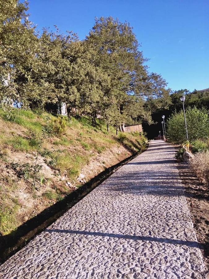 Villa Ninho Da Avo Selvagem à Montalegre Extérieur photo